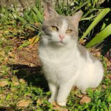 Chantal - kletskous - Afbeelding 7