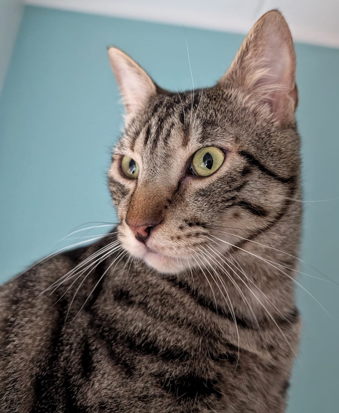 Lucky - in Nederland - Afbeelding 12