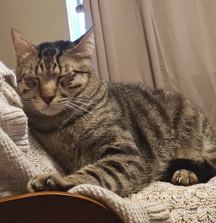 Lucky - in Nederland - Afbeelding 14