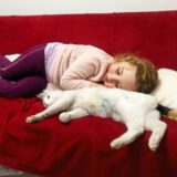 Masha - te gek met kinderen - Afbeelding 3