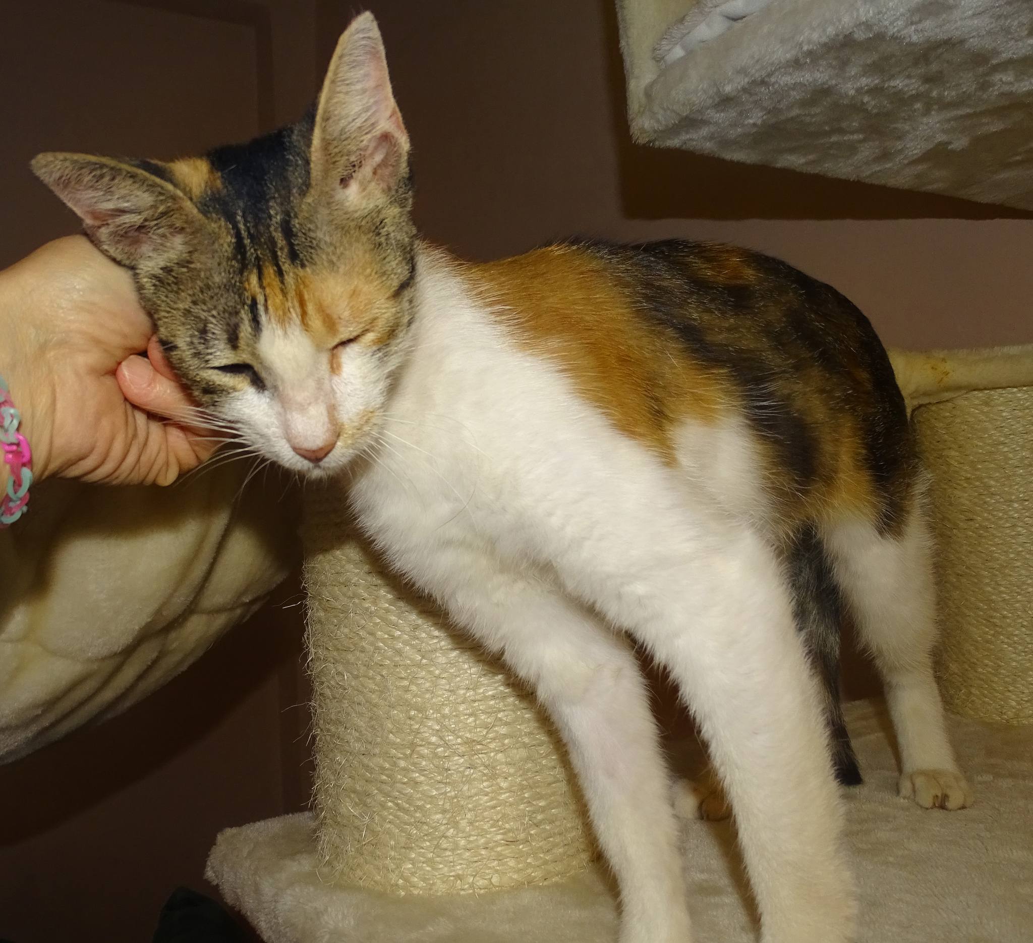 Marion - Afbeelding 7