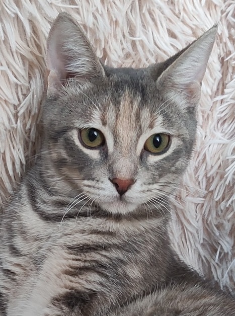 Anneke - Afbeelding 6