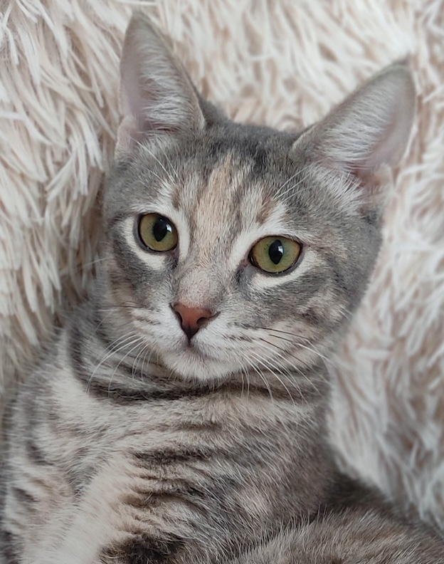 Anneke - Afbeelding 7