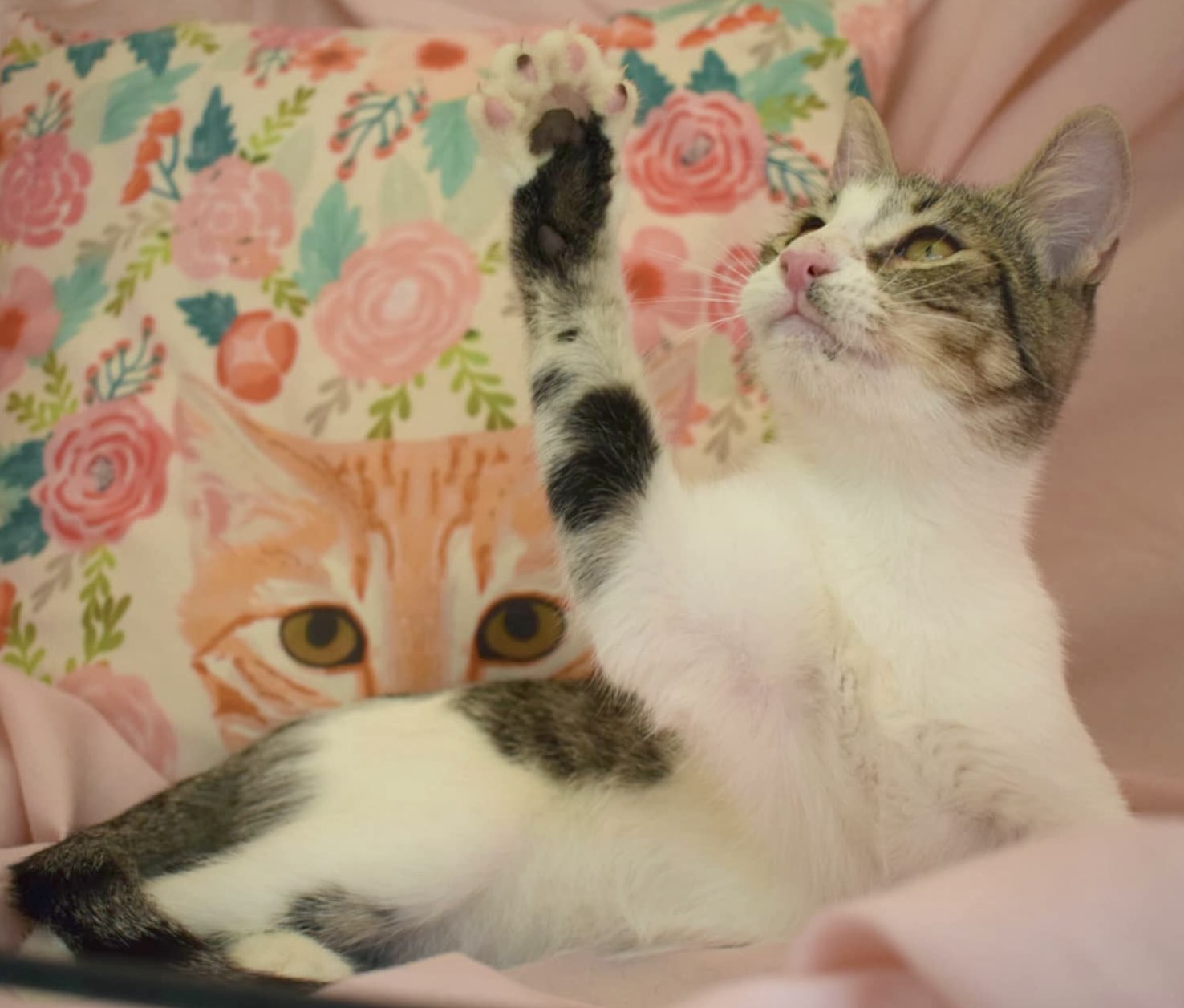 Ruby - gereserveerd - Afbeelding 8