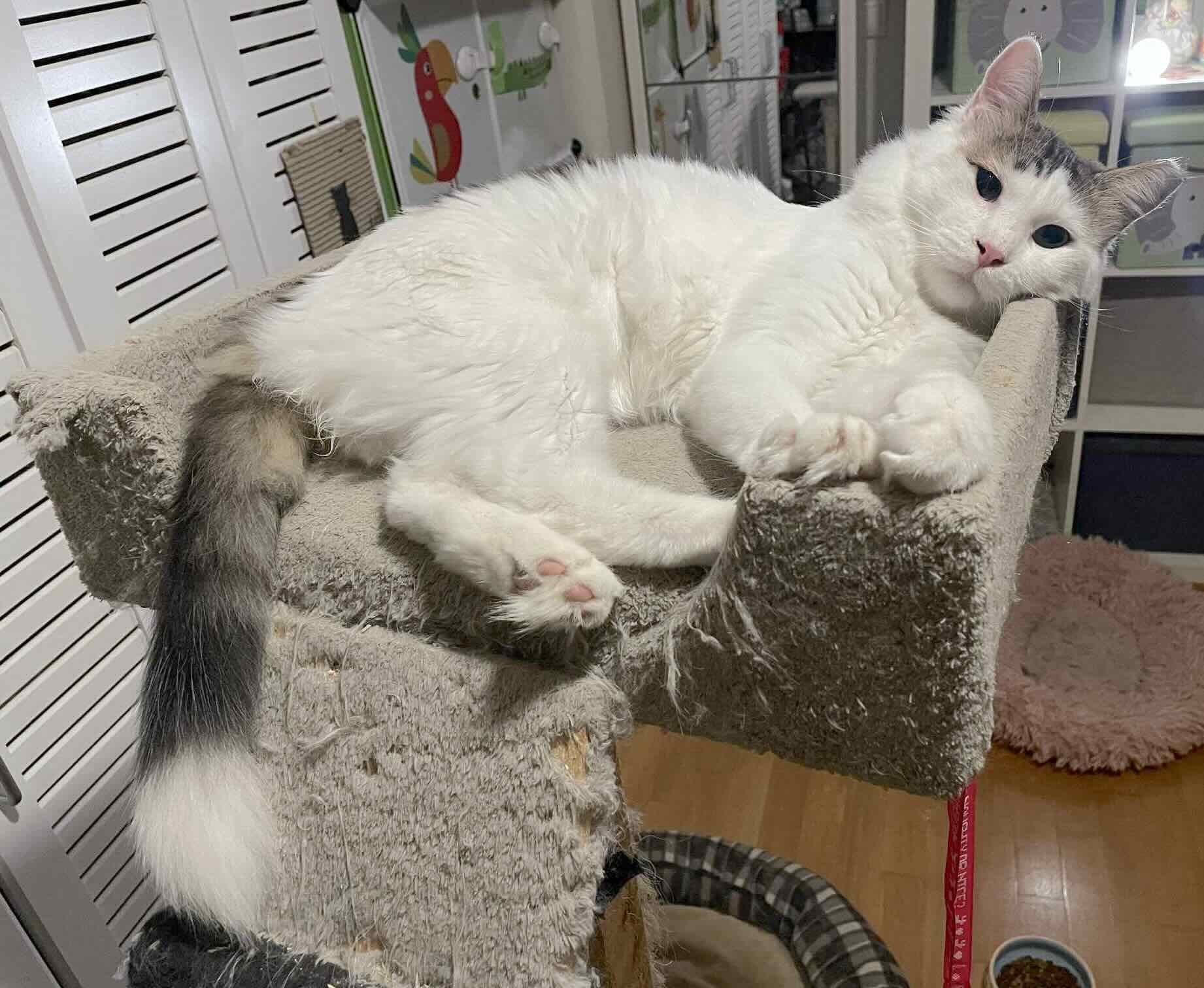 Mr. Holmes - Afbeelding 5