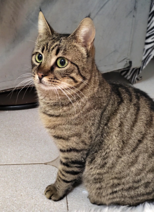 Enzo & Mel - gereserveerd - Afbeelding 5