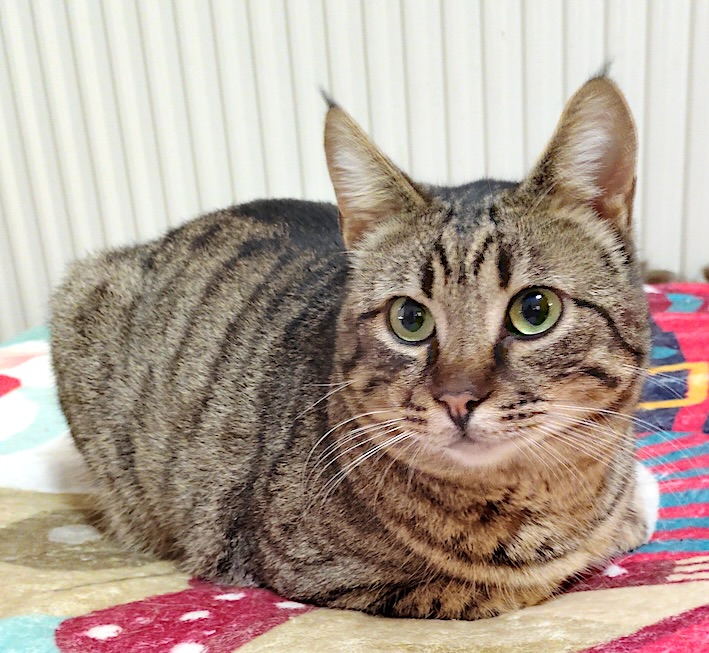 Enzo & Mel - gereserveerd - Afbeelding 7