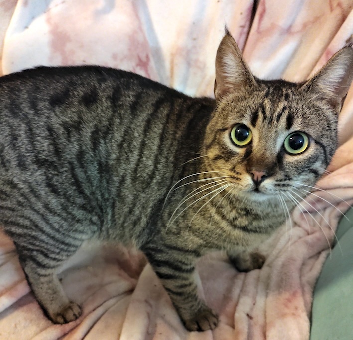 Enzo & Mel - gereserveerd - Afbeelding 9