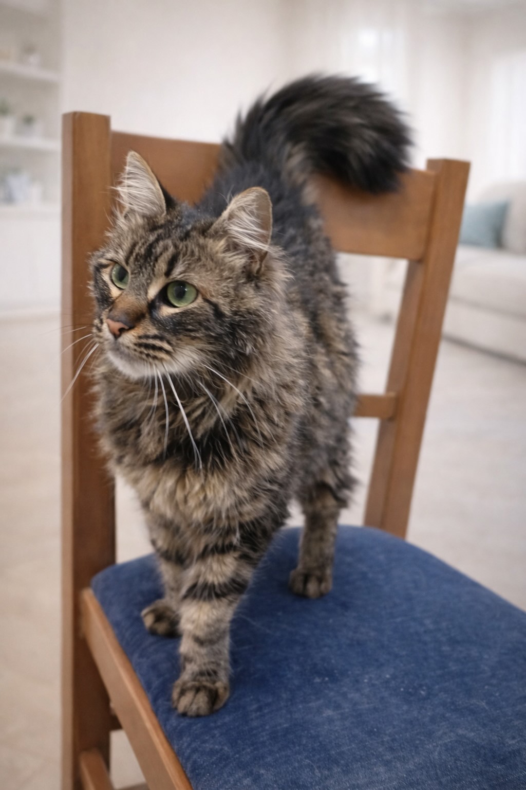 Leila - Afbeelding 4