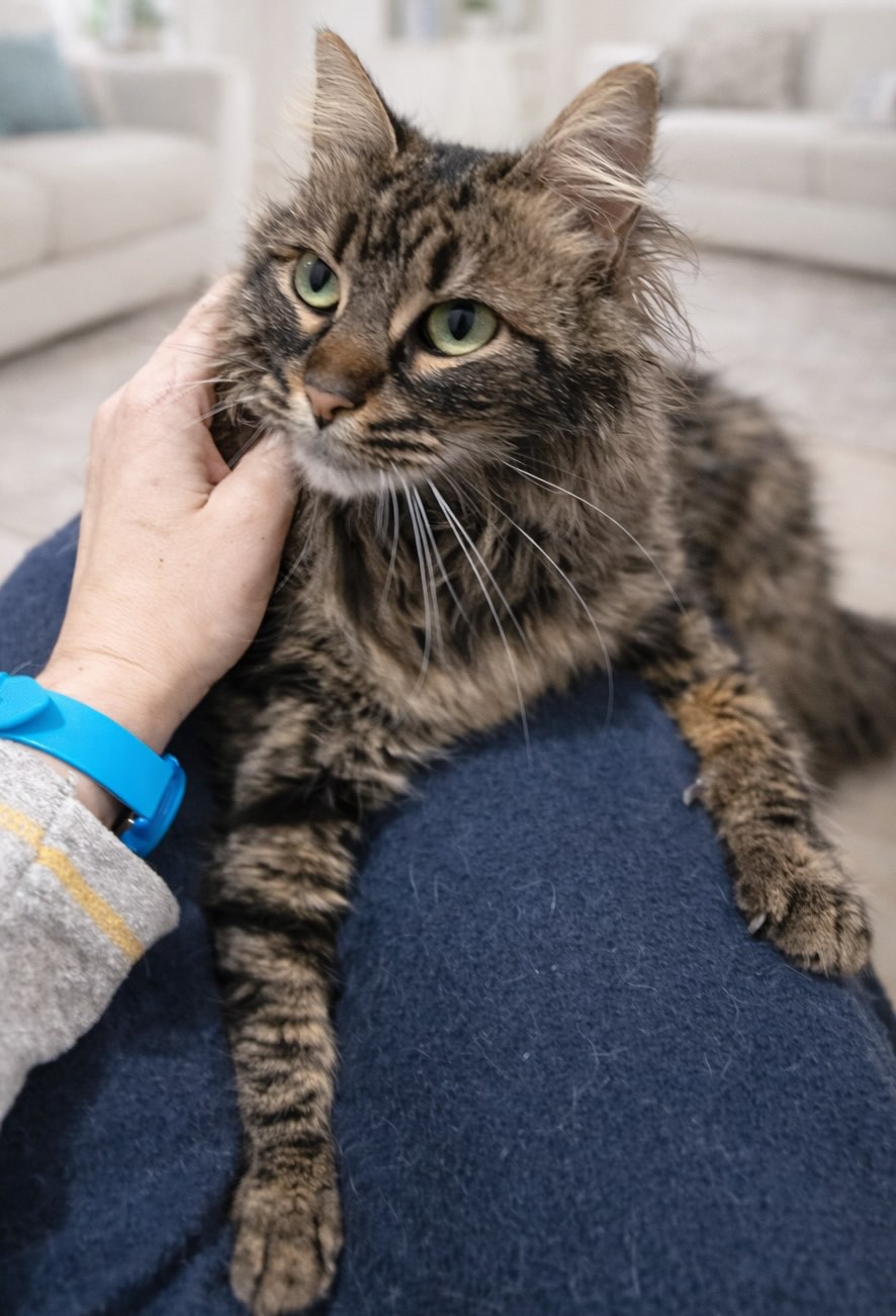 Leila - Afbeelding 10