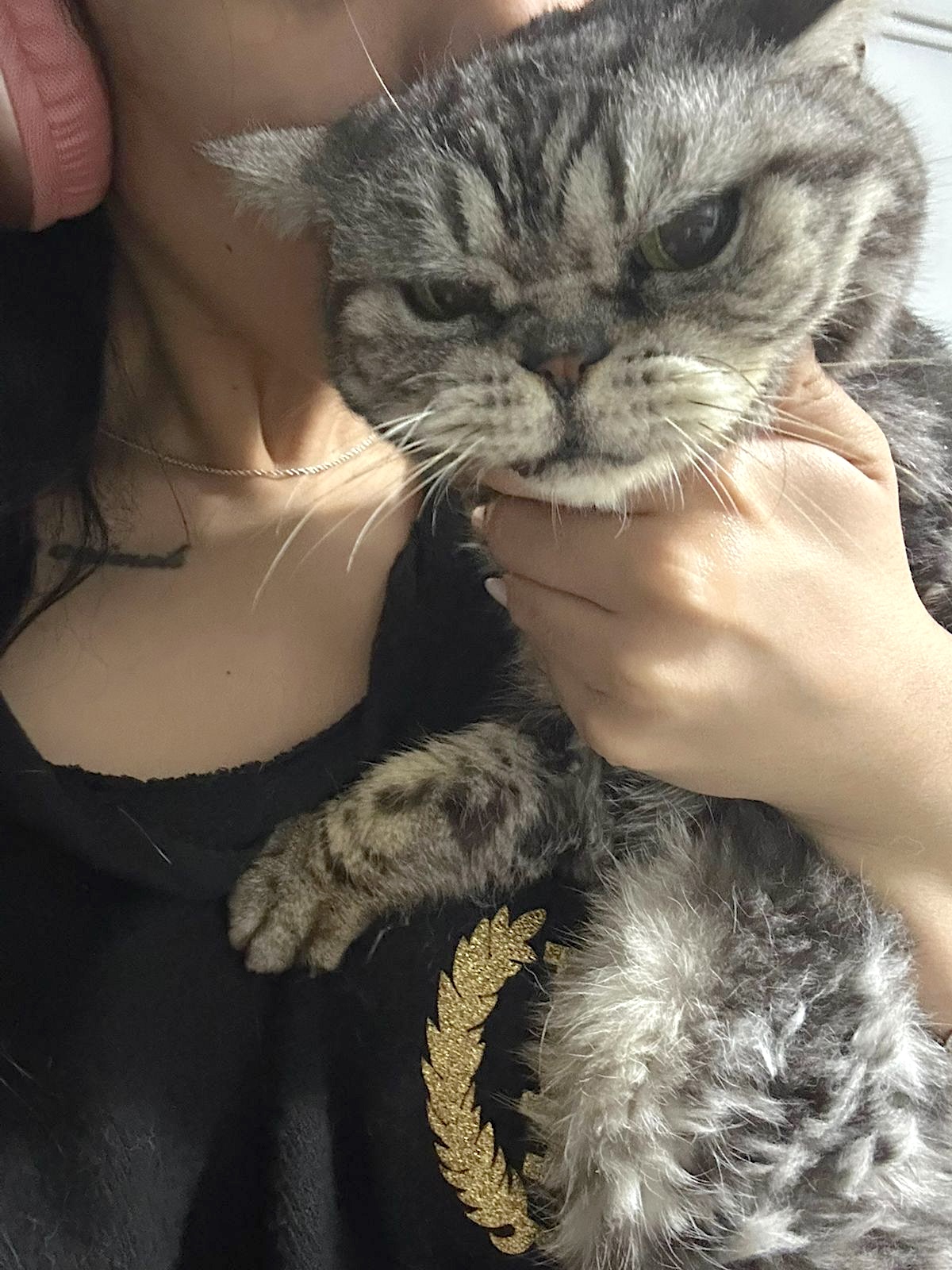 Chloe - grumpy look, boterzacht karakter (aanvraag voor ontvangen) - Afbeelding 6