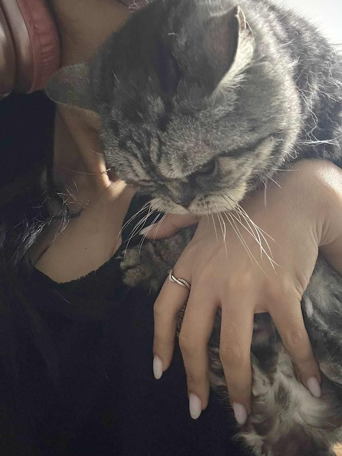 Chloe - grumpy look, boterzacht karakter (aanvraag voor ontvangen) - Afbeelding 7