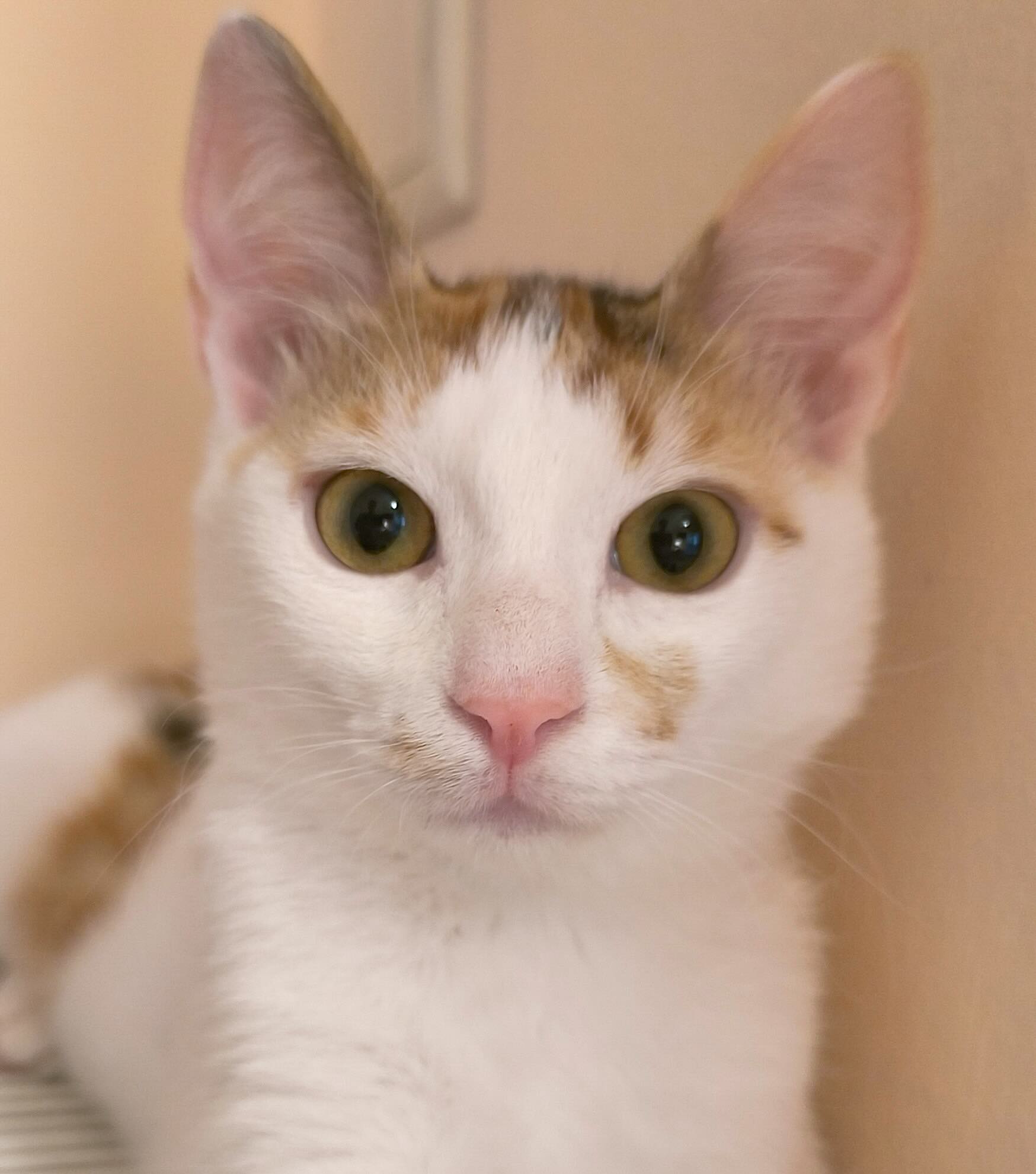 Milo & Margo - Afbeelding 2