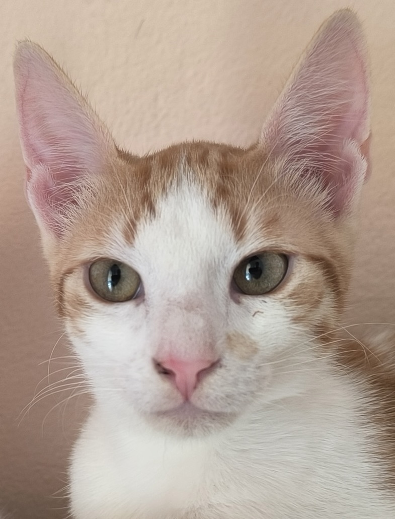 Milo & Margo - Afbeelding 14