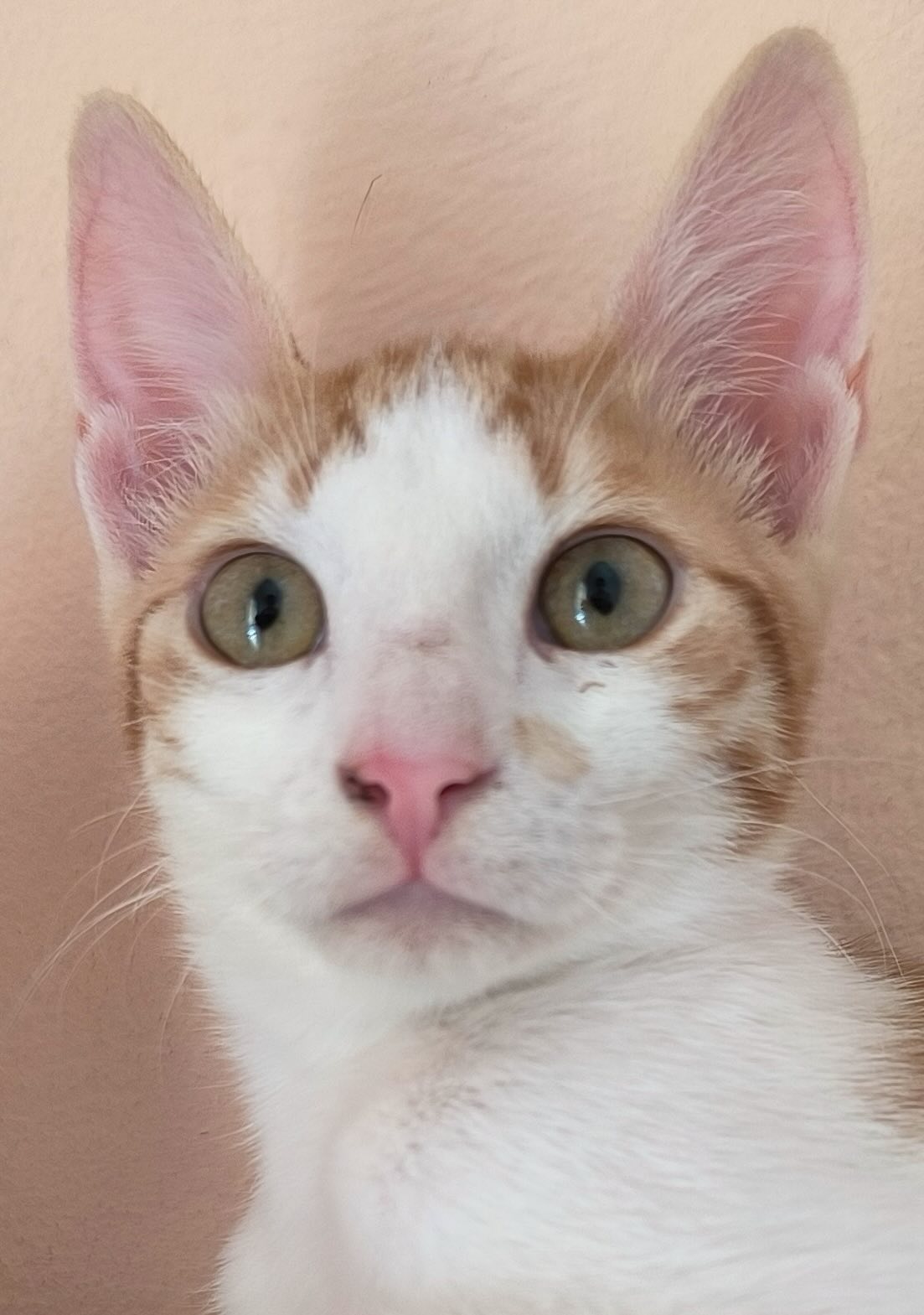 Milo & Margo - Afbeelding 15