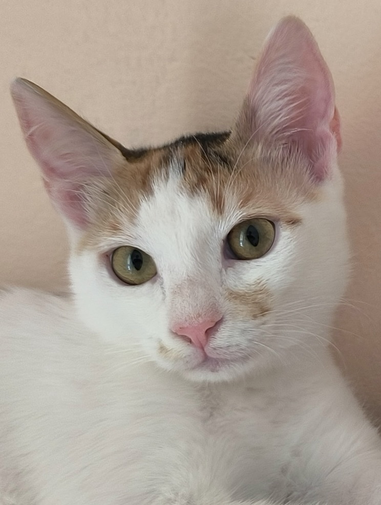 Milo & Margo - Afbeelding 17