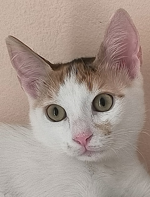 Milo & Margo - Afbeelding 18