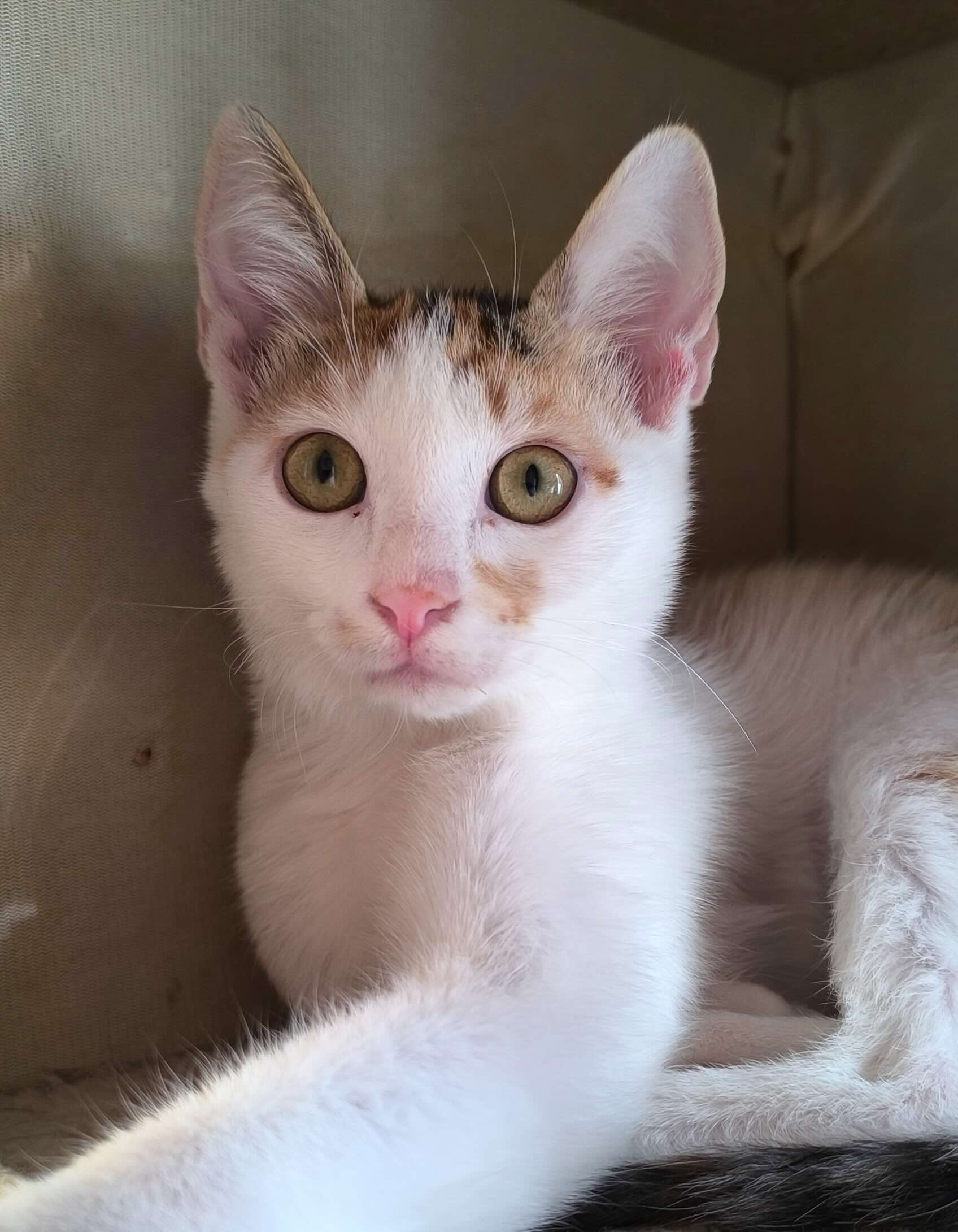 Milo & Margo - Afbeelding 19