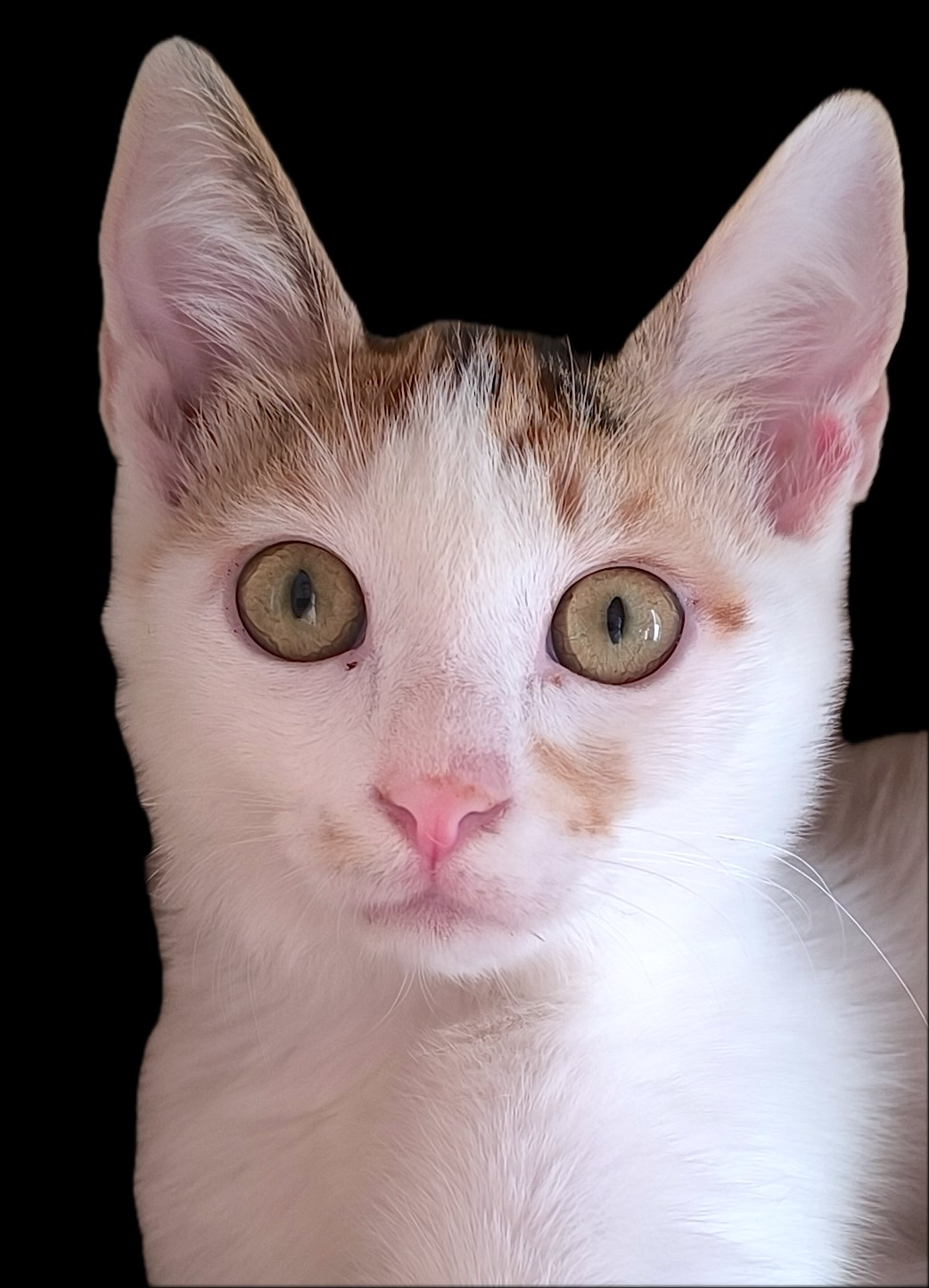 Milo & Margo - Afbeelding 20