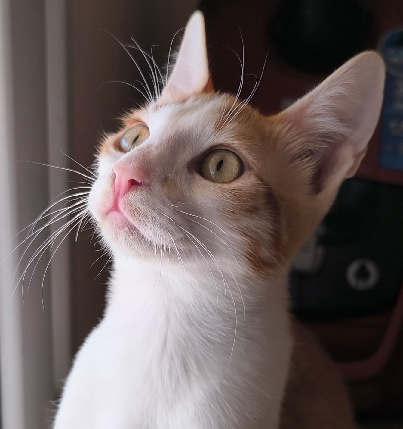 Milo & Margo - Afbeelding 3