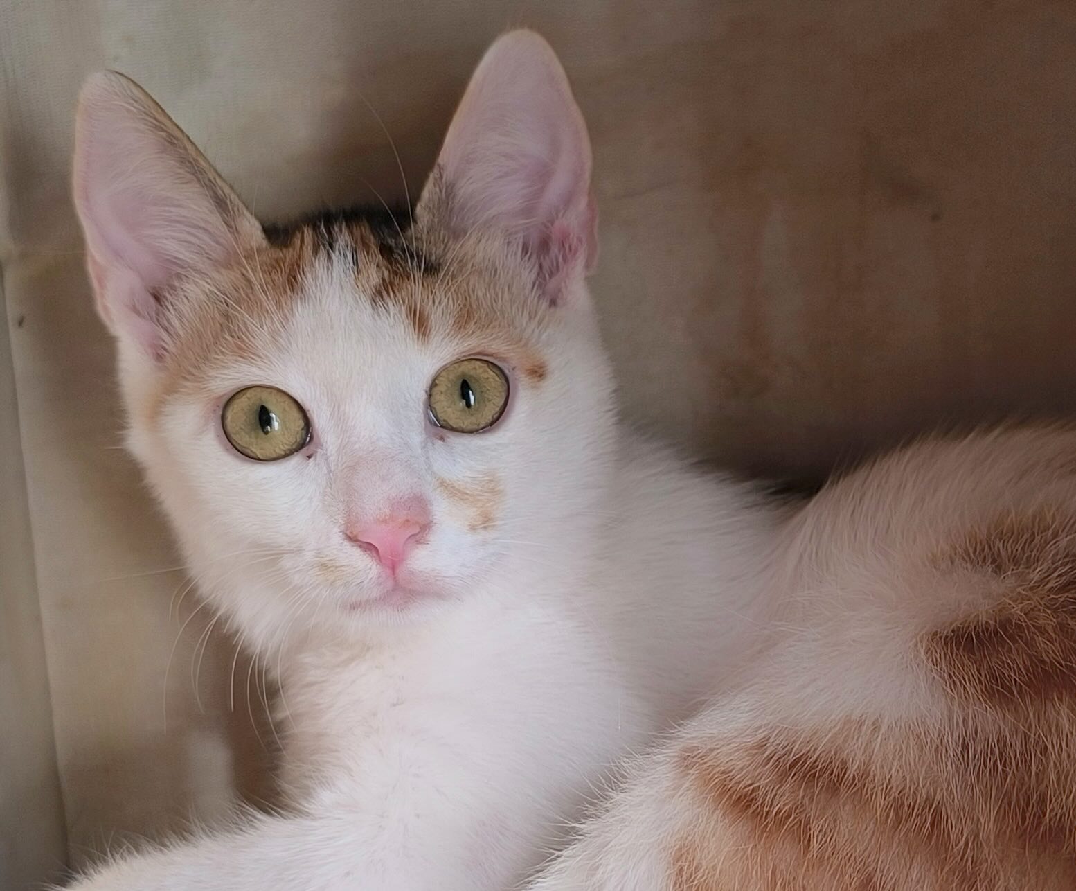 Milo & Margo - Afbeelding 21