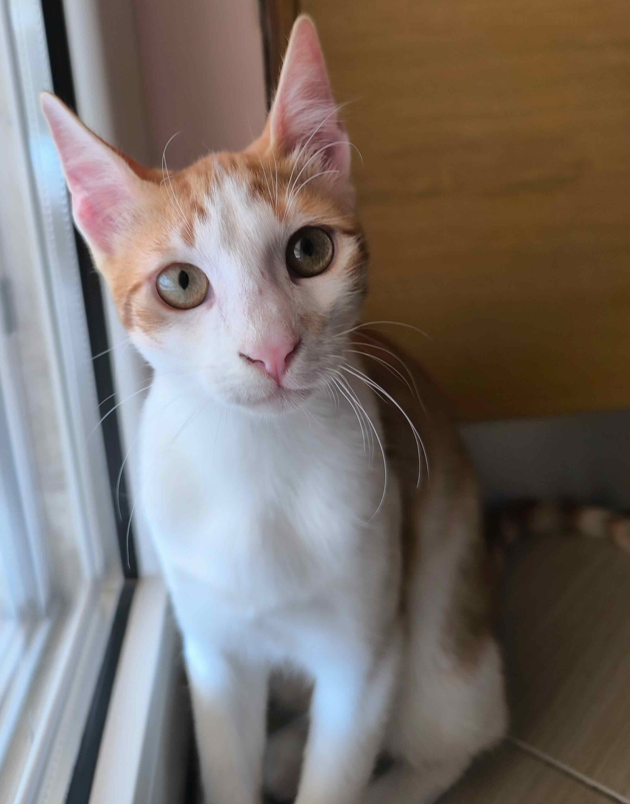 Milo & Margo - Afbeelding 7