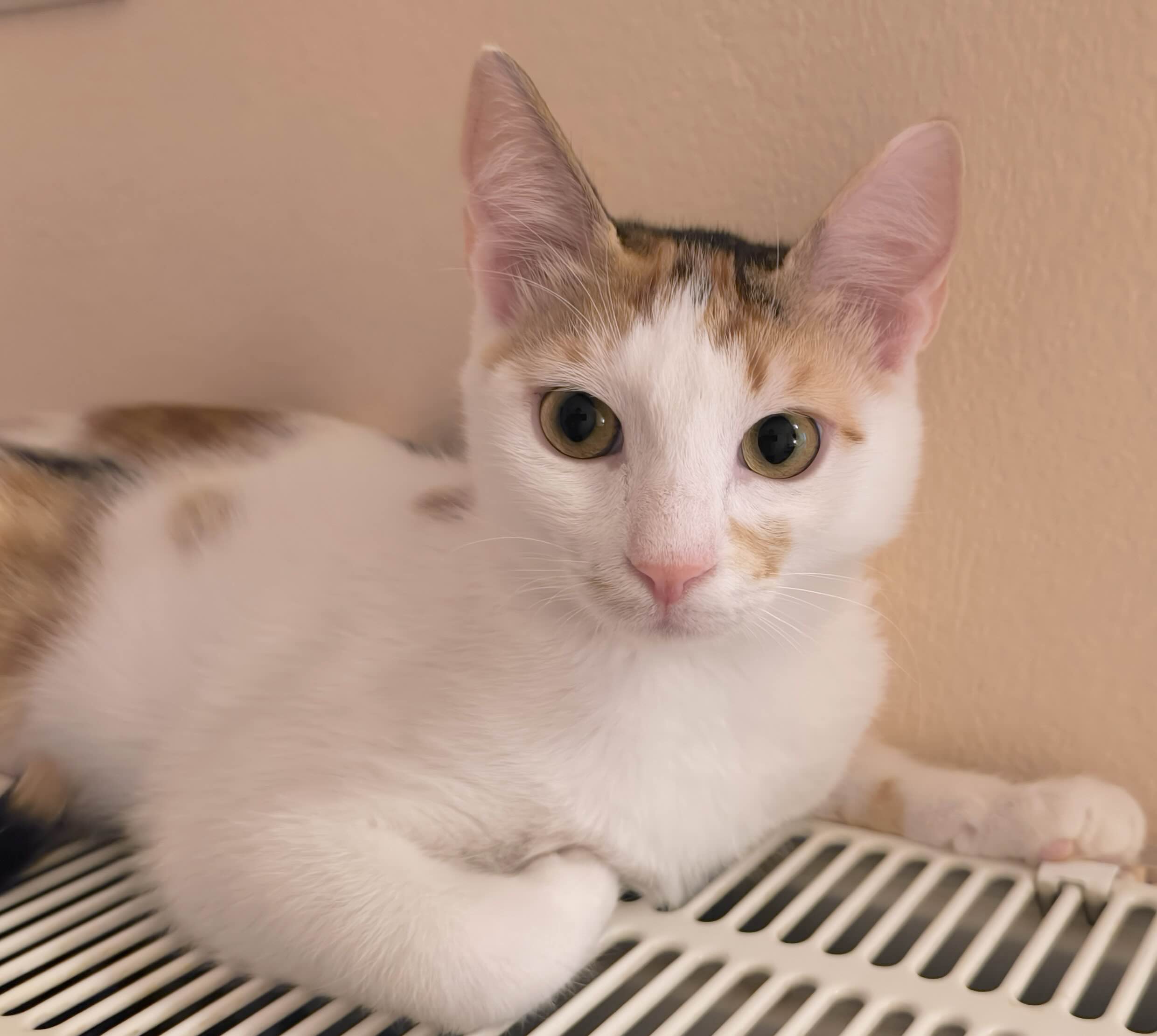 Milo & Margo - Afbeelding 8