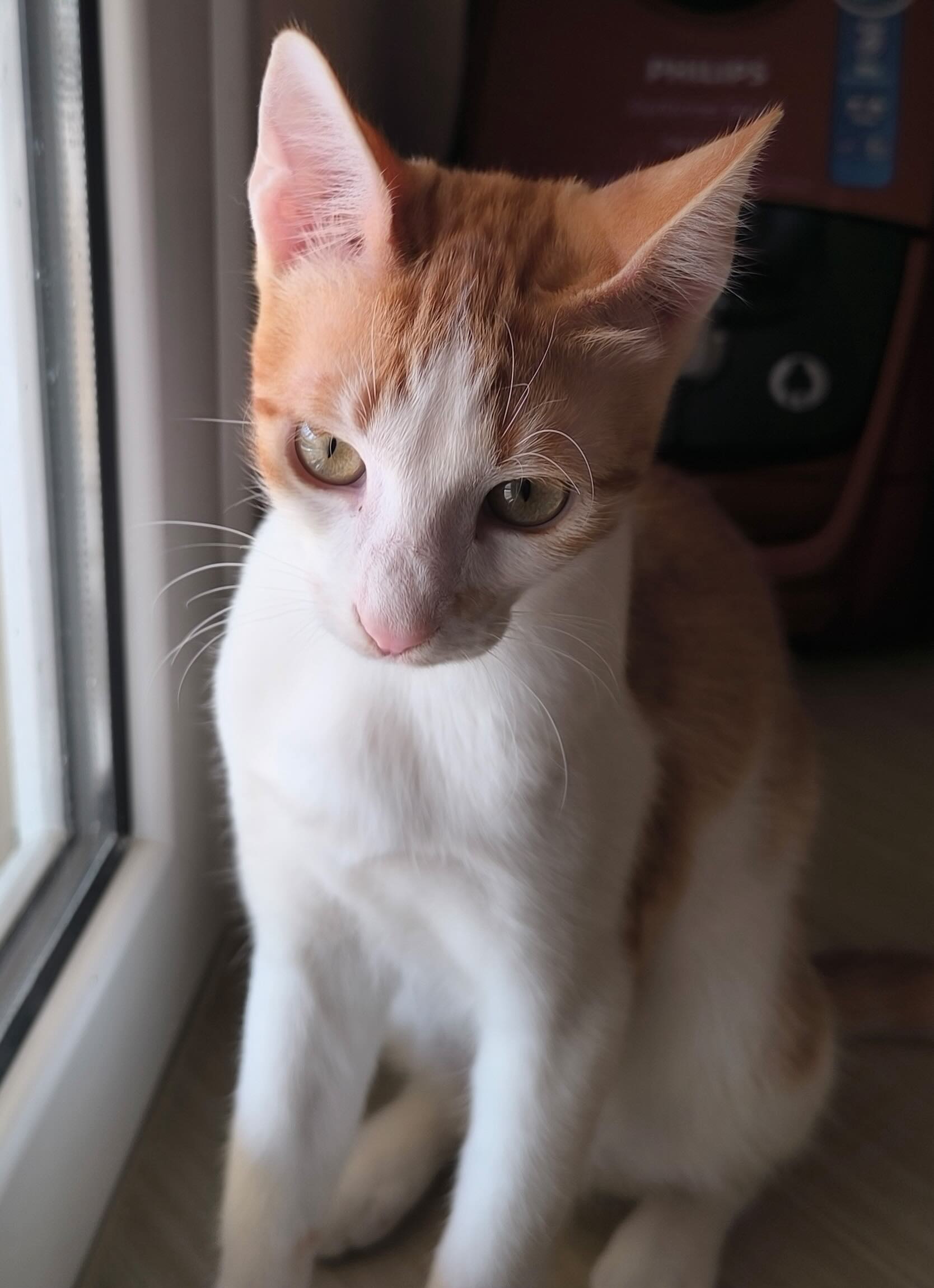 Milo & Margo - Afbeelding 9